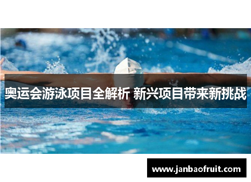 奥运会游泳项目全解析 新兴项目带来新挑战 奥运会游泳项目全解析 新兴项目带来新挑战
